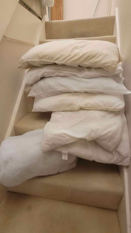 Photo of free Pillows (Northcote Road SW11) #1