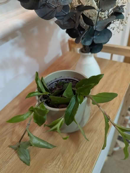 Photo of free Wooden corner unit (Grangeway area NN10) #3