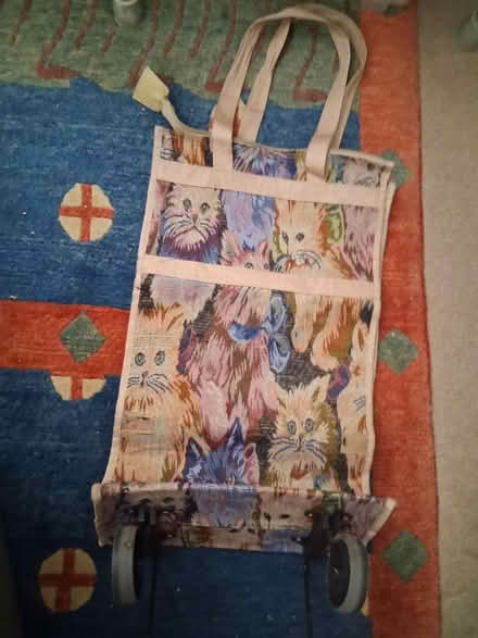 Photo of free Cloth Shopping Cart (West Harlem) #1