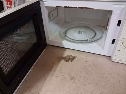 Photo of free Microwave (Woodbrook HR5) #2