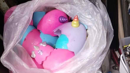 Photo of free A big bag of Rainbowcorn eggs (Sandy) #1