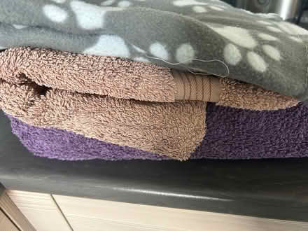 Photo of free Towels/fleece dog blanket (Plumpton CA11) #1
