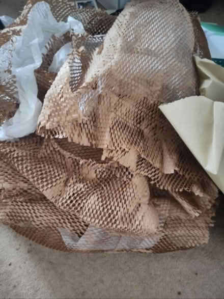 Photo of Shreded Paper (Crouch End N8) #2