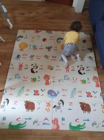 Photo of free Kids playmat (Central park, East Ham E6) #3