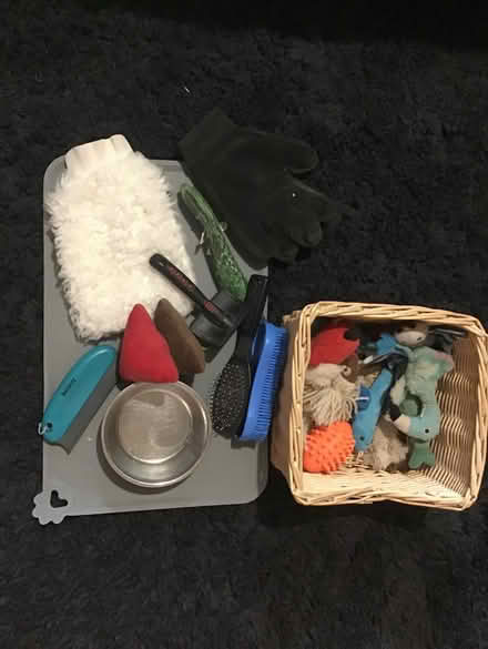 Photo of free Cat accessories (Brentry BS10) #1