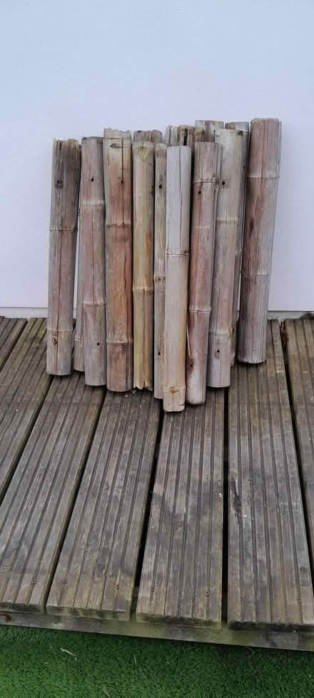 Photo of free Lengths of large(ish) bamboo (Eastbourne BN22) #1