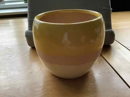 Photo of free Yellow plant pot (Glenleigh Park TN39) #1