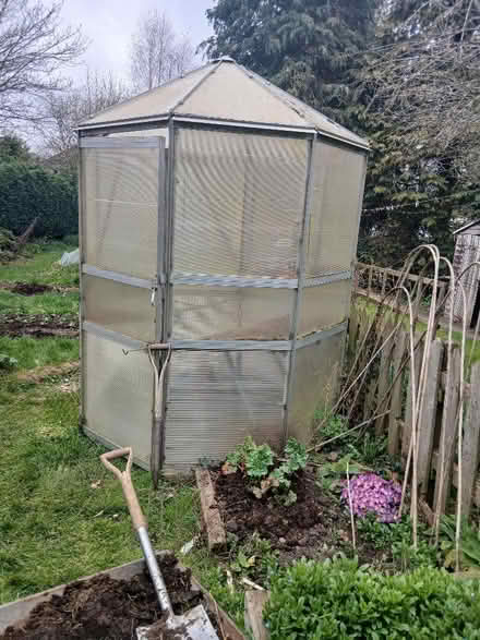 Photo of free Polycarbonate greenhouse (Church Lawford CP CV23) #3