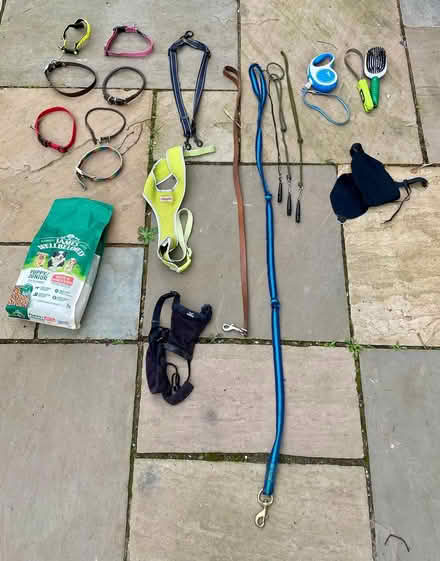 Photo of free Assorted dog clobber (Princes Risborough HP27 9) #1