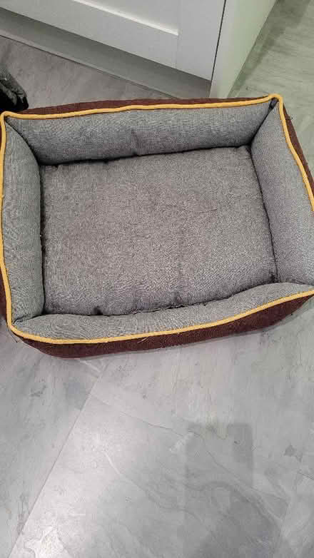 Photo of free 4 cat beds (Turves Green B31) #2