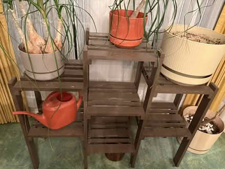 Photo of free Wooden Plant Stand (Crestwood) #1