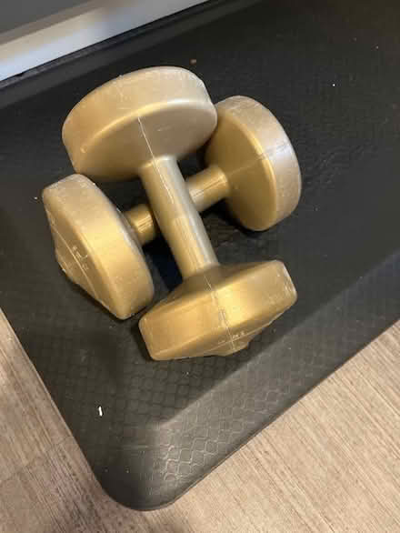 Photo of free 2 York 5lb weights (Golden Triangle) #1