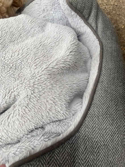 Photo of free Small dog bed (Garston WD25) #1