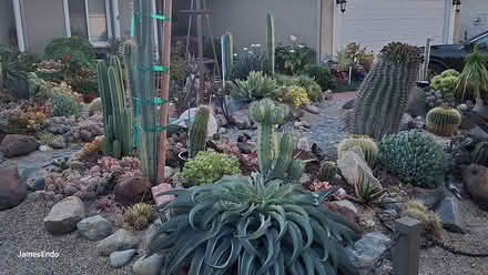 Photo of rusty stuff or garden art (San Jose) #1