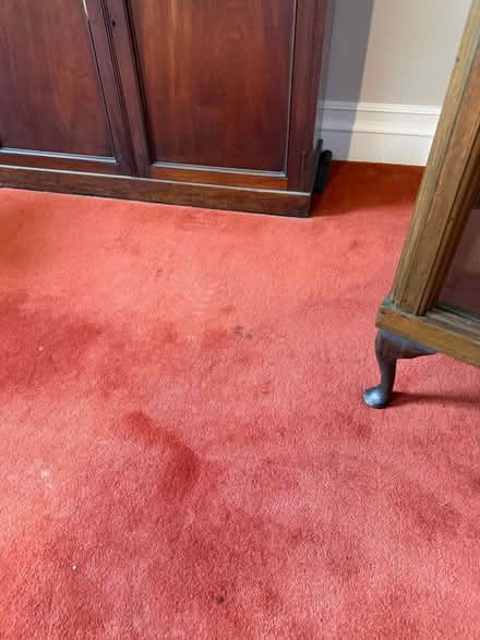 Photo of free Woollen full floor carpet (CT2 King Street) #1