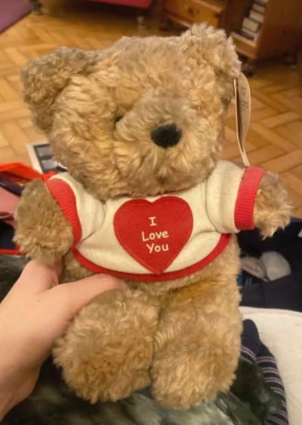 Photo of free I love you teddy - needs wash (Herne Hill, SE24) #1