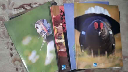 Photo of free RSPB magazines (Loughton IG10) #1