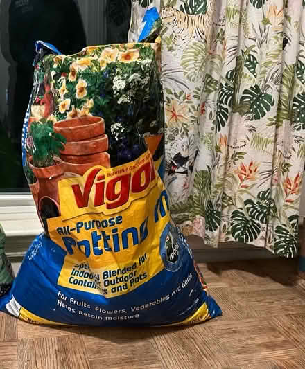 Photo of free Potting soil (Winter Hill) #1