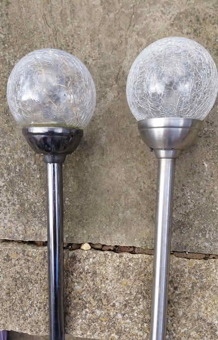 Photo of free Garden Stakes (Sheffield S12) #1