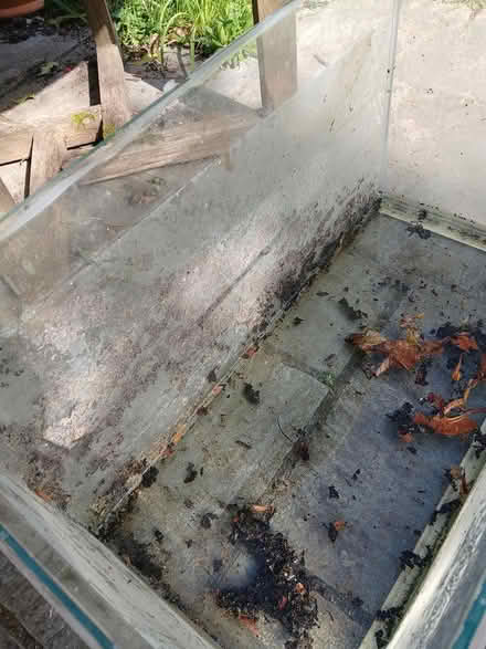 Photo of free Fish tank (bristol, ashton gate BS3) #1