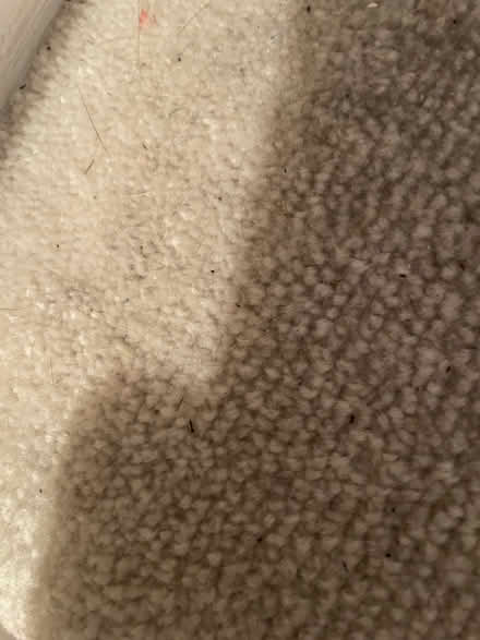 Photo of Material (High Wycombe HP13) #1