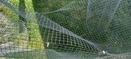 Photo of free Garden mesh (Costhorpe S81) #1