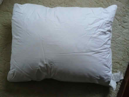 Photo of free Duck feather & duck down filled pillow 50x66cm (Kempsey WR5) #4