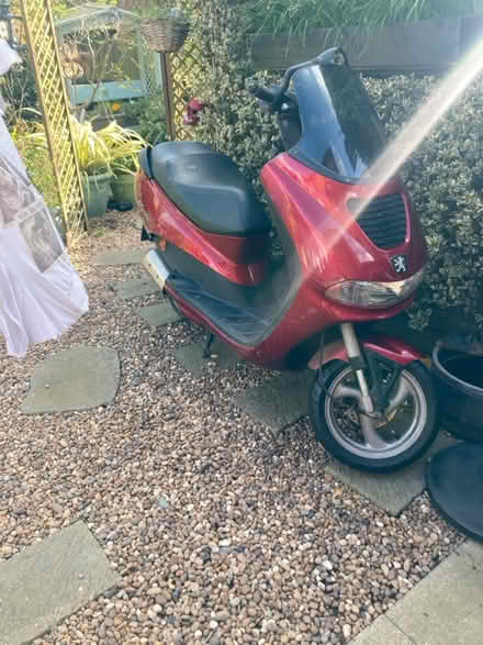 Photo of free Old scooter/moped (SG17) #1