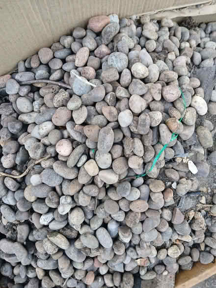 Photo of free Garden Bits and mountain bike. (Lewes BN7) #3