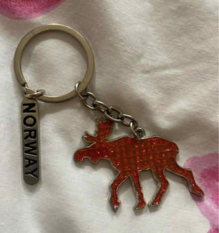 Photo of free Norway moose keyring (Herne Hill, SE24) #1