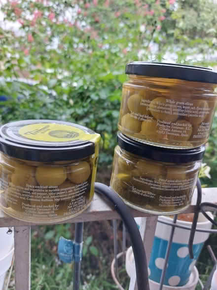 Photo of free Torremar olives (San Leandro) #1