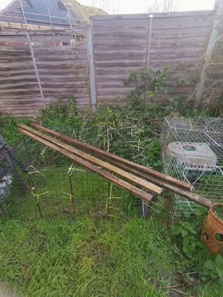 Photo of free Tarps, wood batons roofing tiles (Earlham NR5) #3