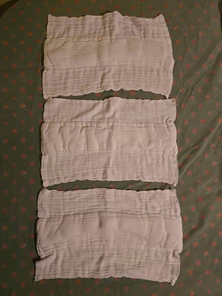 Photo of free 3 Cloth Diapers (West 7th) #1