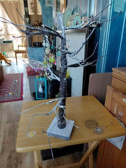 Photo of free Easter/Christmas/Halloween tree tree (Rowner PO13) #1