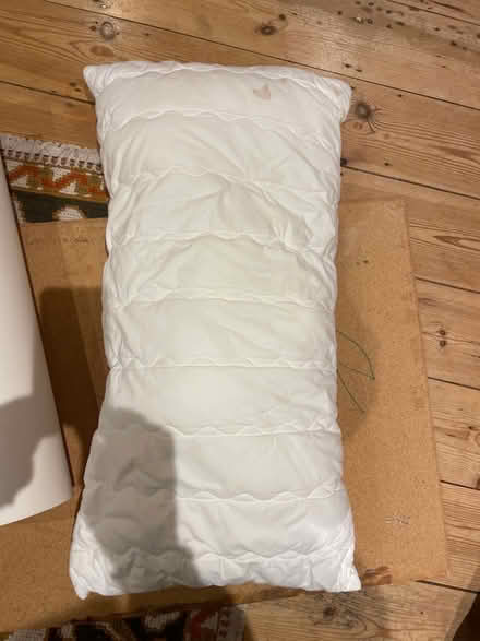 Photo of free Pillow (Queen's Park BN2) #2