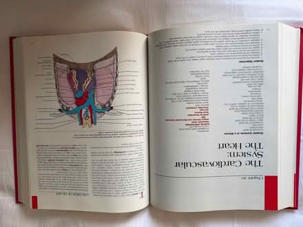 Photo of free Book: Principles of Anatomy and Physiology (Welling DA16) #1