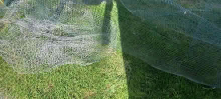 Photo of free Garden mesh (Costhorpe S81) #2