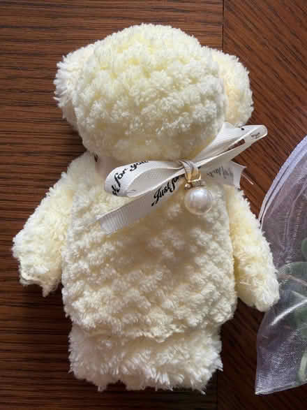 Photo of free Teddy flannel and soap gift set (Wokingham RG40) #2