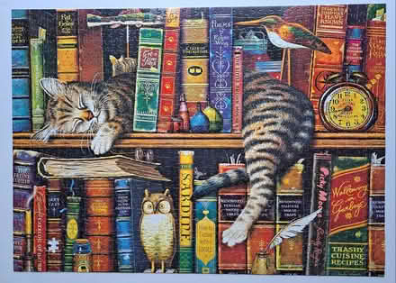 Photo of free Tabby Cat Puzzle (1 piece missing) (Ipswich (IP3)) #2