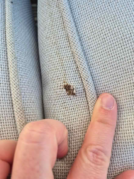 Photo of free Garden seating (Exeter, Beacon Heath) #4