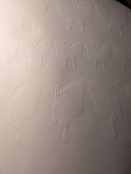 Photo of free Vinyl Butterfly Decals (East side) #1