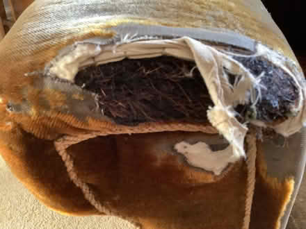 Photo of free Upholstered chair (Aigburth) #3