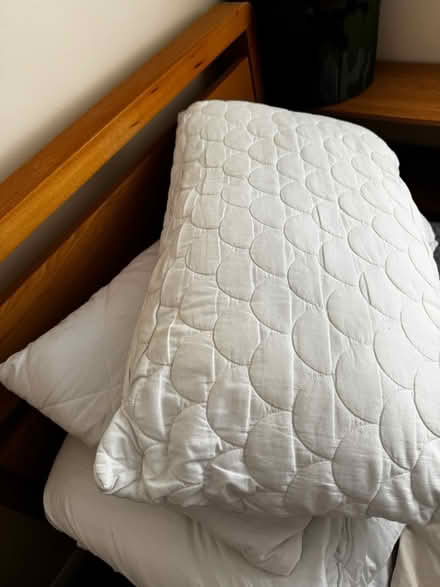 Photo of free Single duvet, 2 pillows (TN2 3HT) #2