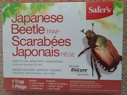 Photo of free Japanese Beetle trap (Orleans) #1