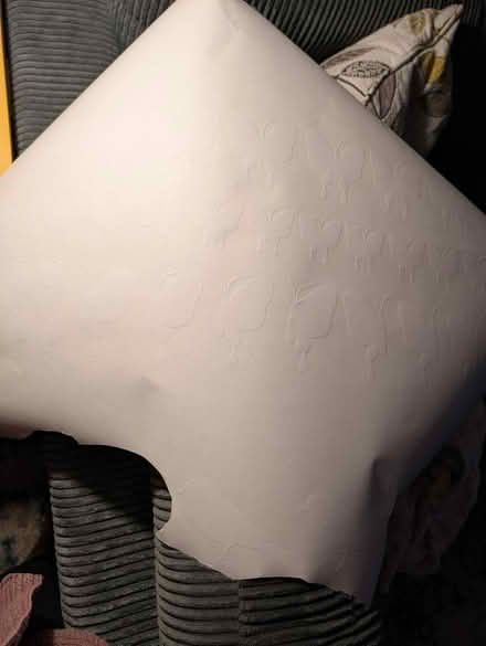 Photo of free Vinyl Butterfly Decals (East side) #2