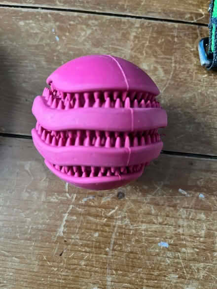 Photo of free Dog/puppy items (Ballynafoy BT6) #3