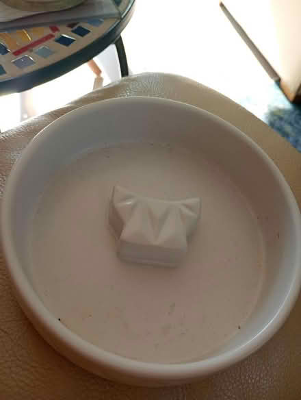 Photo of free Cat food dish (Temple Cowley OX4) #1