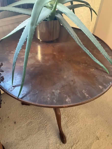 Photo of free Small Round Table (Saint Marychurch TQ1) #2