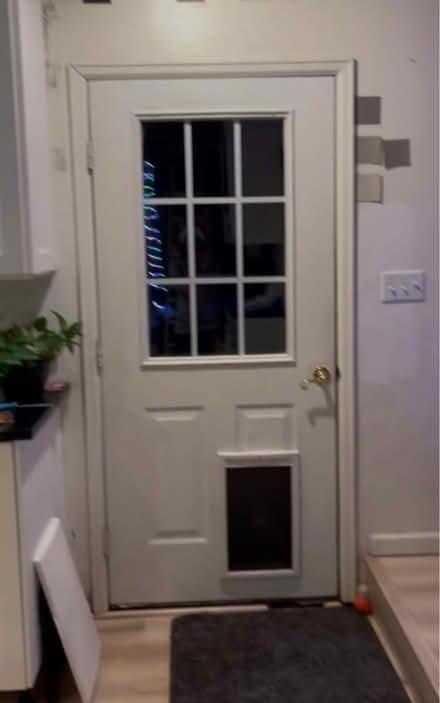 Photo of free Exterior Door + Built-In Dog Door (Whistler Rd and Stone Lane) #2