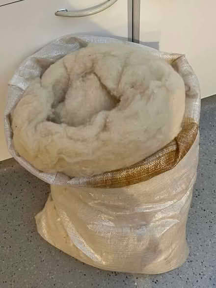 Photo of free Wool for spinning or felting (Nailsea BS21) #1